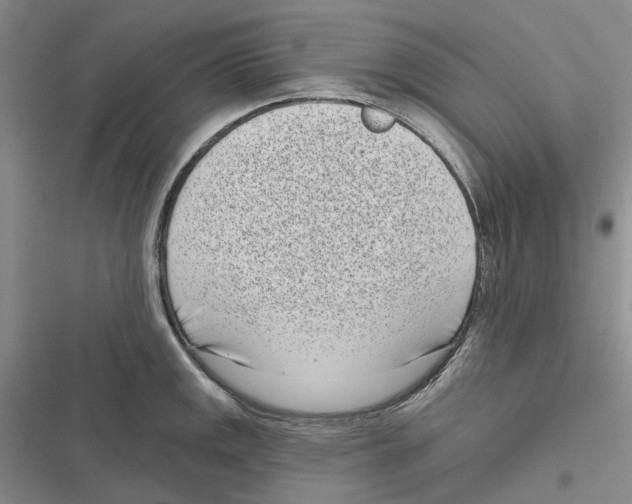 X0000116811141201001151138