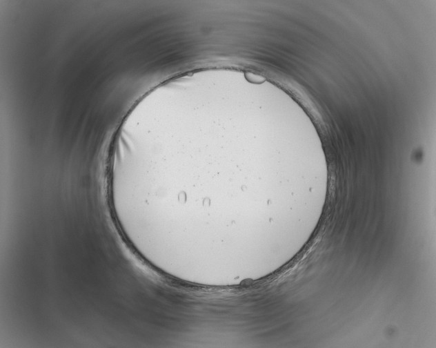 X0000116811143201001151138