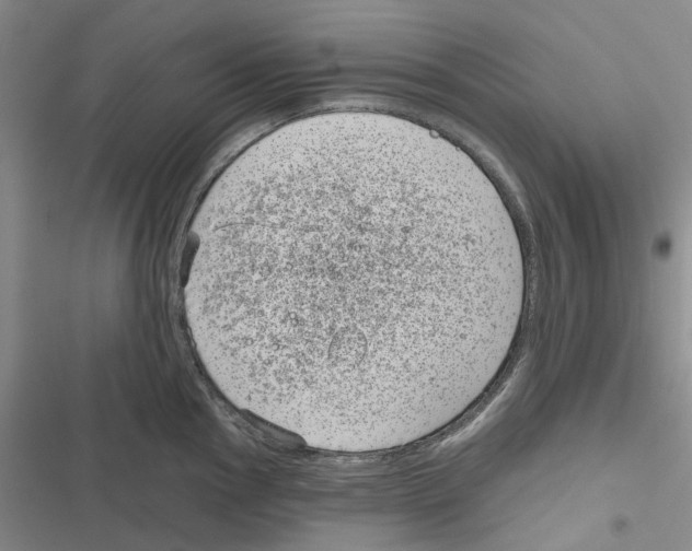 X0000116811145201001151138
