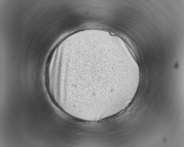 X0000116811147201001151138