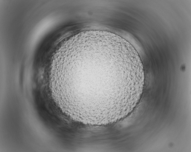 X0000116811150201001151138