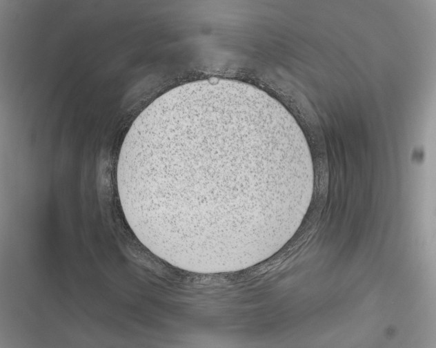 X0000116811154201001151138