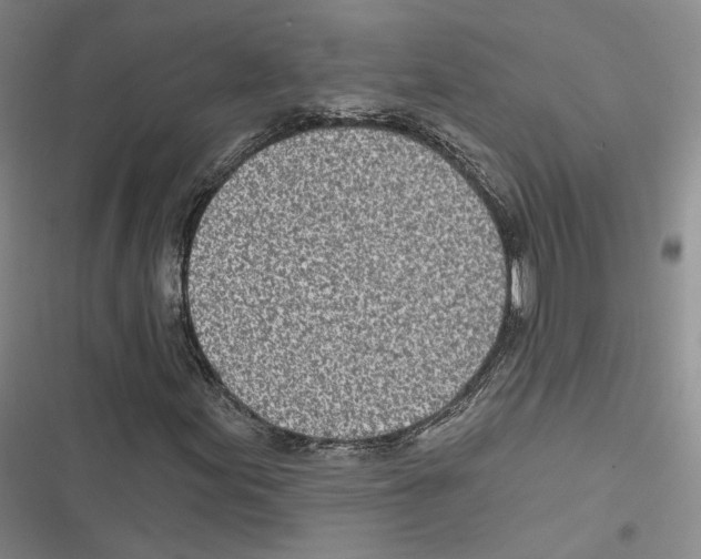 X0000116811155201001151138