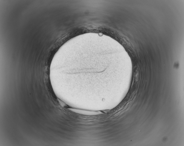 X0000116811156201001151138