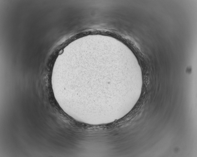 X0000116811159201001151138