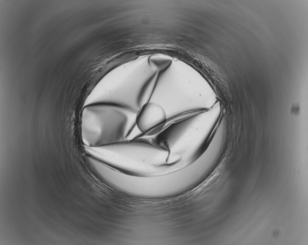 X0000116811161201001151138