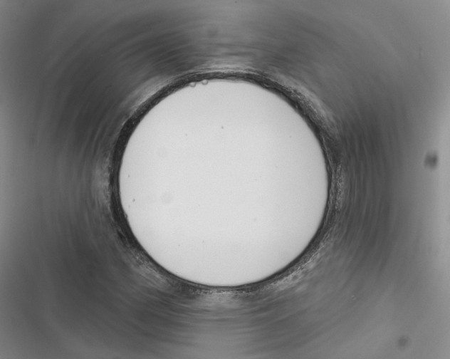 X0000116811162201001151138