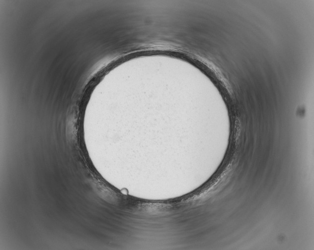 X0000116811163201001151138