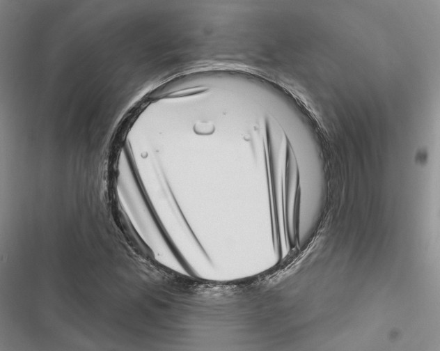 X0000116811165201001151137