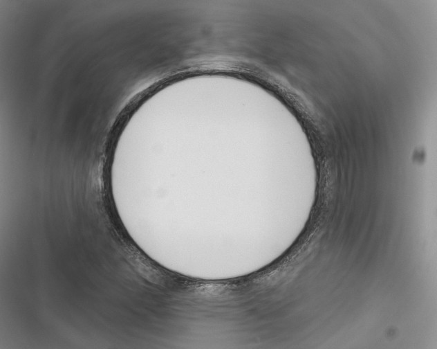 X0000116811166201001151137