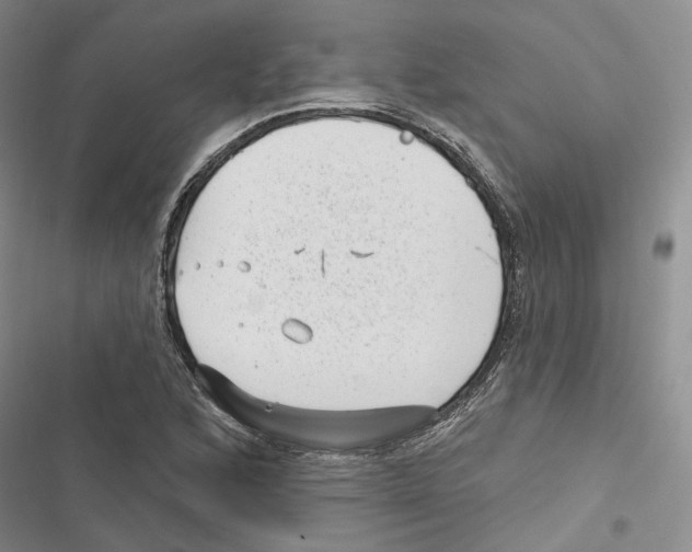 X0000116811168201001151137