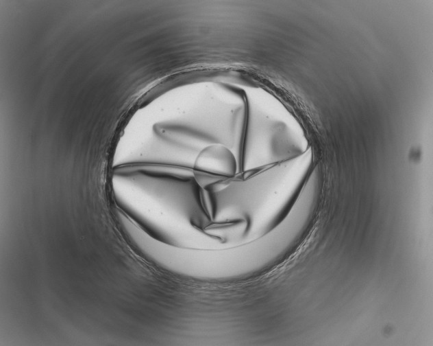 X0000116811169201001151137