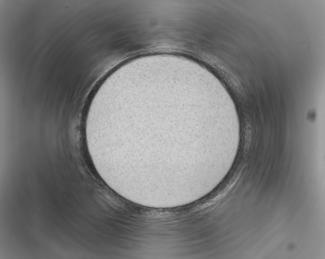 X0000116811170201001151137