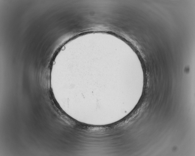 X0000116811171201001151137