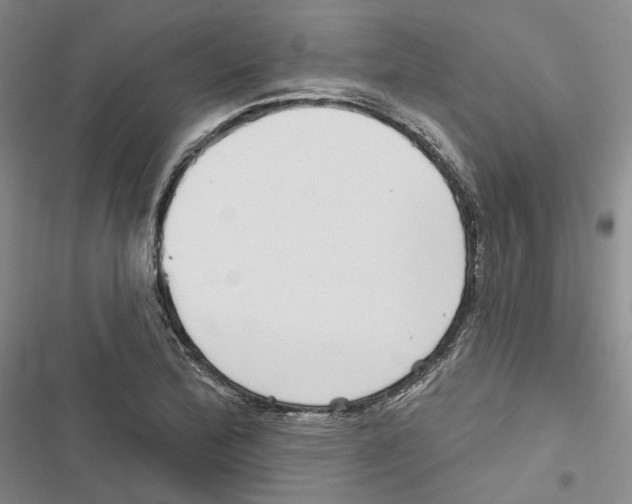 X0000116811172201001151137
