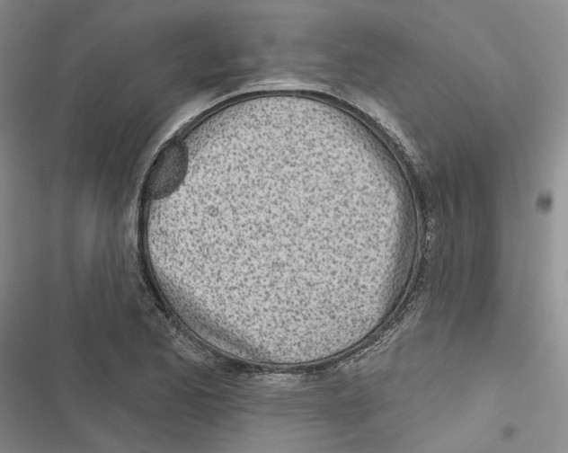 X0000116811173201001151137