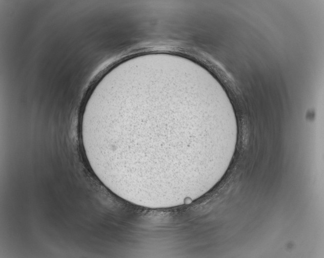 X0000116811174201001151137