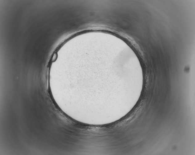 X0000116811175201001151137