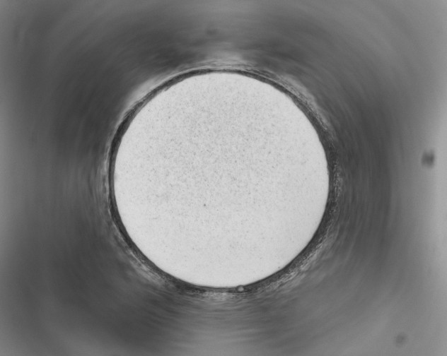 X0000116811176201001151137