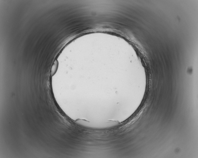 X0000116811177201001151137