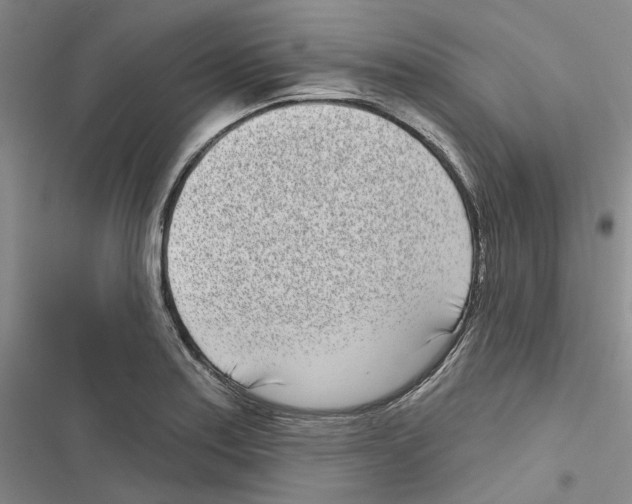 X0000116811179201001151137