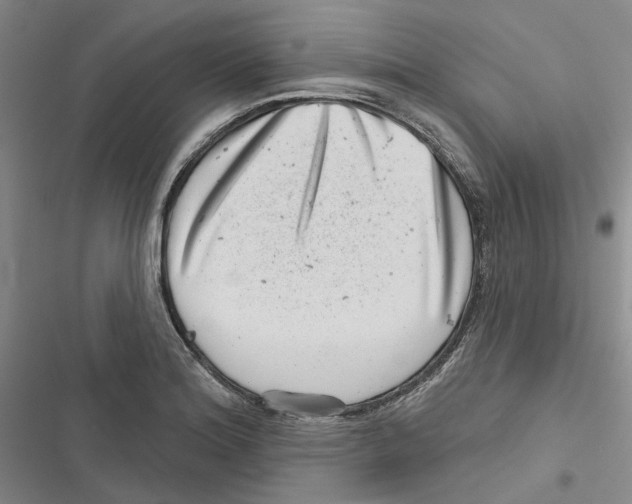 X0000116811180201001151137