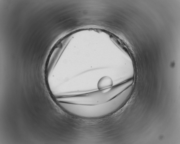 X0000116811181201001151137