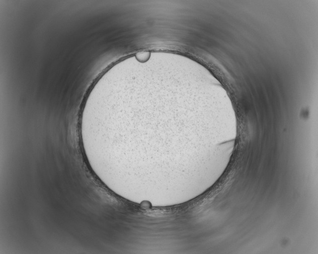 X0000116811182201001151137