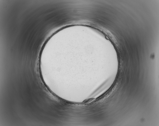 X0000116811184201001151137