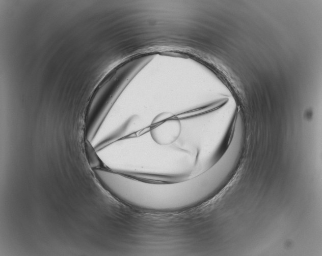 X0000116811185201001151137