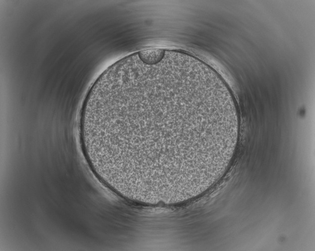 X0000116811187201001151137