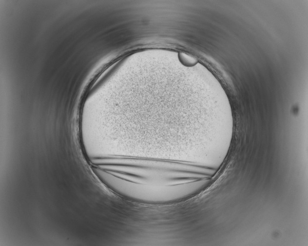 X0000116811188201001151137
