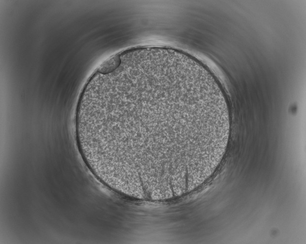 X0000116811191201001151137