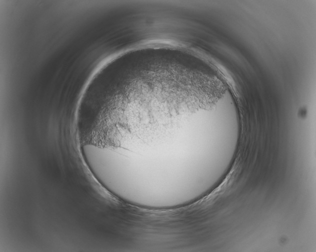 X0000116811192201001151137