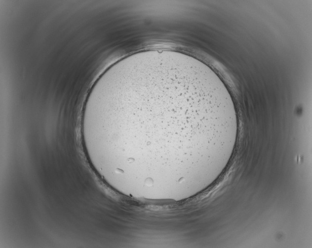 X0000116811194201001151137