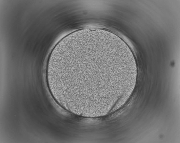 X0000116811195201001151137