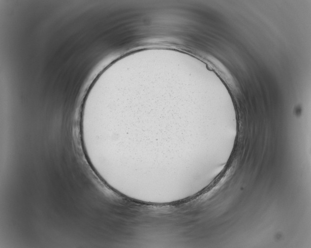 X0000116811196201001151137