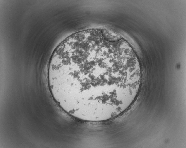 X0000116811198201001151137