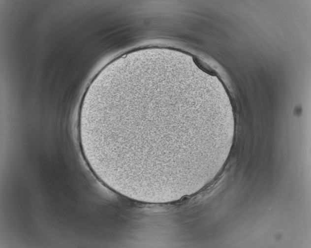 X0000116811199201001151137
