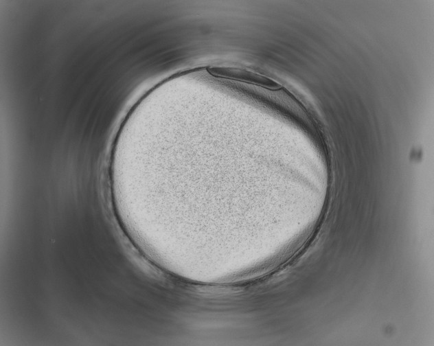 X0000116811200201001151137