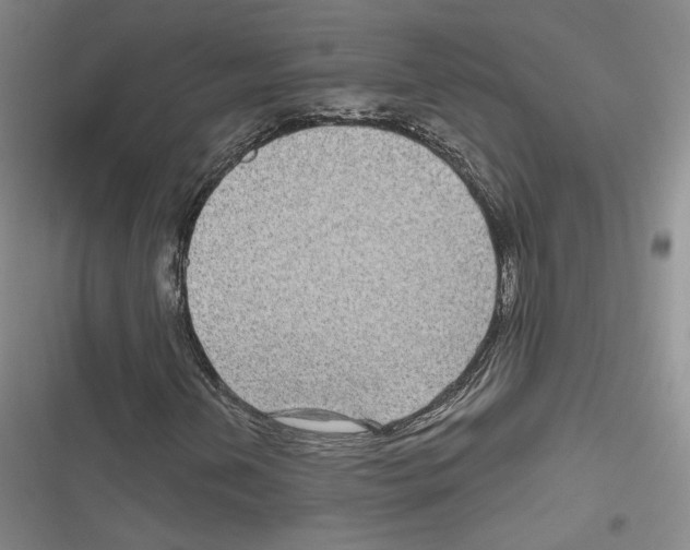 X0000116811202201001151136