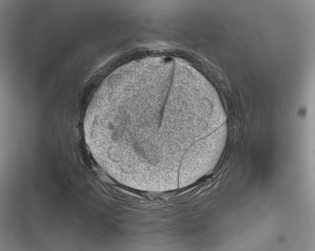 X0000116811205201001151136