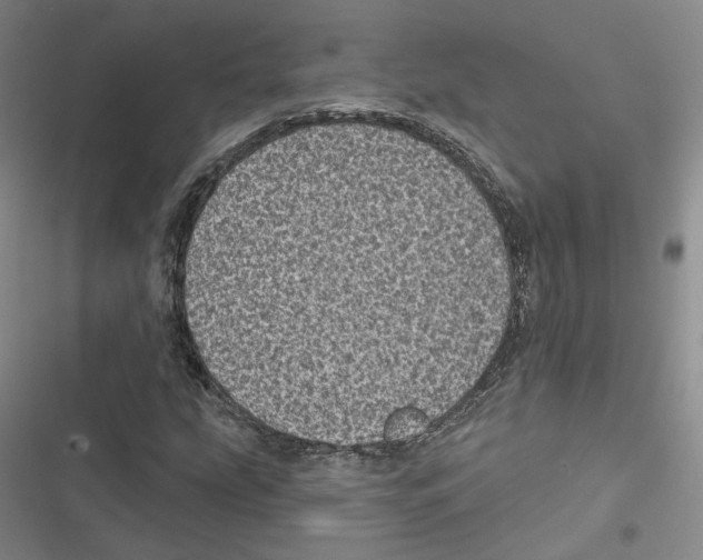 X0000116811207201001151136