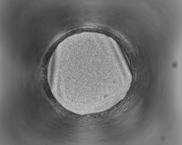 X0000116811208201001151136