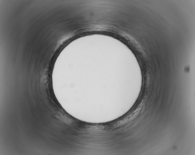 X0000116811210201001151136