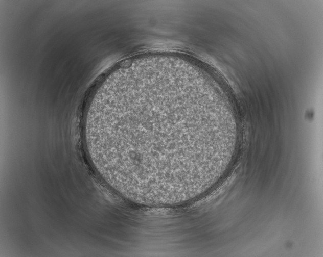 X0000116811211201001151137