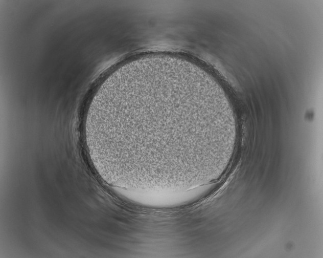 X0000116811213201001151137