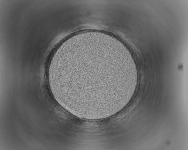 X0000116811215201001151137