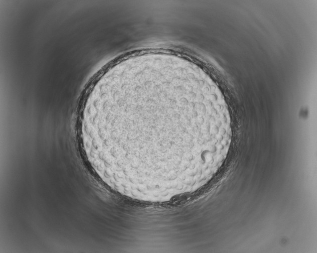 X0000116811216201001151137