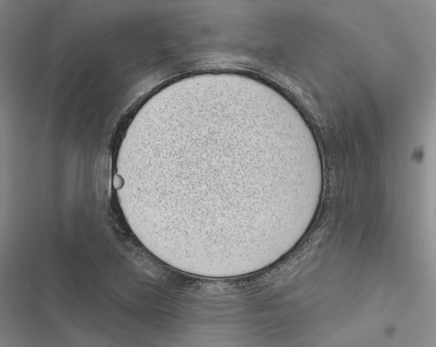 X0000116811219201001151137